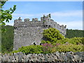 O2702 : Kiltimon Castle by Michael Dibb
