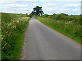 Country road from Appleby-in-Westmorland to Bolton