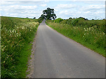 NY6421 : Country road from Appleby-in-Westmorland to Bolton by Oliver Dixon