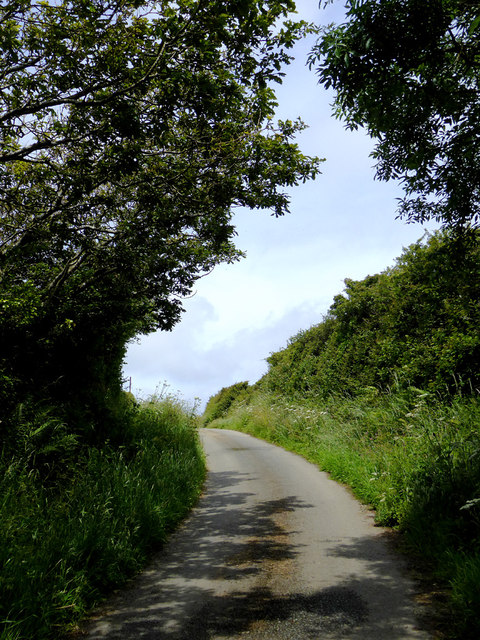 Lane to Welcombe, Devon
