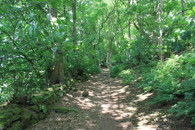The North Cheshire Way near Woodhouses