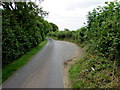 Passing place on the narrow lane to Carmarthen Bay Holiday Centre near Kidwelly