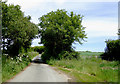 Lane to Elmscott, Devon