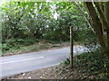 The Sussex Border Path reaches Highfield Lane