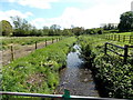 The Were (Swan River) through Smallbrook Meadows, Warminster