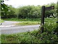 Footpath reaches junction of lanes at Goose Green