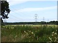 Pylons over fields north of Goose Green