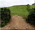 Open access to a field near Kidwelly