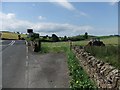 Level  crossing near Willowford