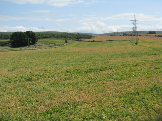 East Lothian fieldscape