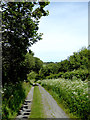 Narrow lane to Elmscott, Devon