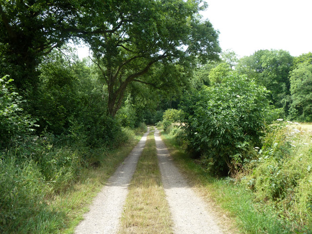Track towards Spollycombe Copse