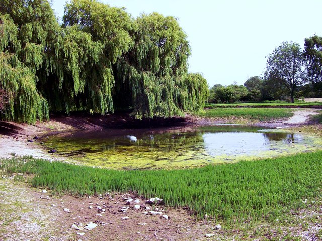 Drought at St Peters Pool, Bourne, Lincolnshire