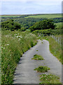 Narrow lane to South Hole, Devon