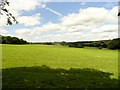 View up the Browney valley