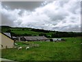 Buildings and pasture at Llanbachowey Farm