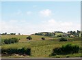 Undulating farm land east of the A24 (Saintfield Road)