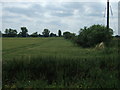 Crop field and hedgerow, Methwold Severals