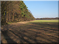 Arable field near Brickkiln Farm