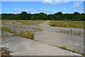 Path across hard standing, Wisley Airfield