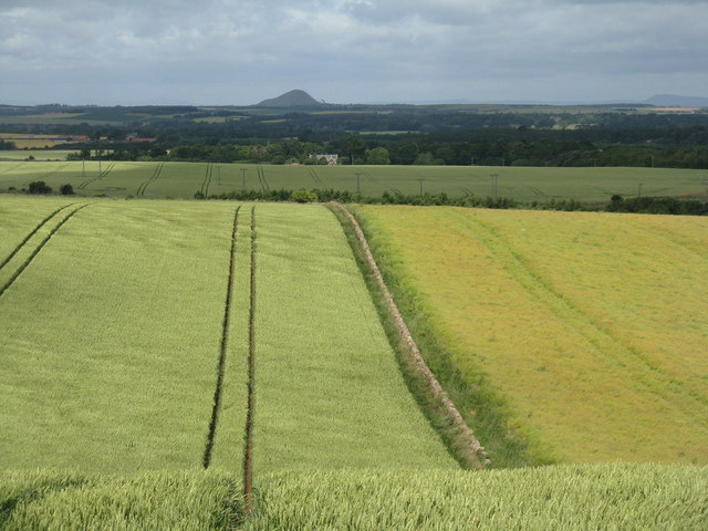 East Lothian farmland