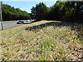 Dumped topsoil on A329 Berkshire Way in Bracknell