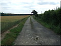 Farm track off Thetford Road (A134)