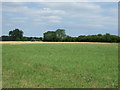 Farmland near Edgewell