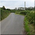 SN3906 : Passing place alongside the coast road west of Kidwelly by Jaggery