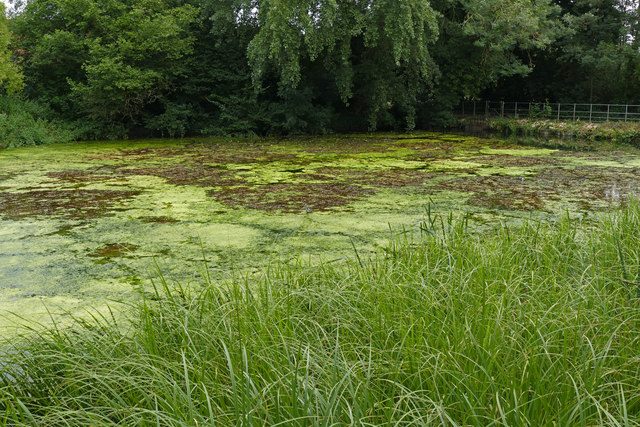 Sherbourne Pond