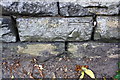 Benchmark on wall at junction of Bingley Road and Highfield Terrace