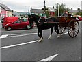 C4745 : Horse-drawn carriage, Carndonagh (3) by Kenneth  Allen