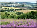 Looking down on Upper Parsonage Farm from Butser