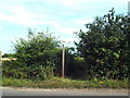 Public footpath through bushes near Beaumont