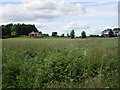 View towards Rosebank Lodge