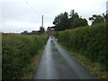 Country Lane near Little Harewood Farm