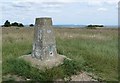 SU7120 : Butser Hill Trig Pillar (Triangulation Point) by Rob Farrow