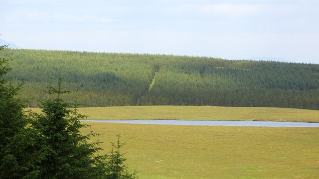 Lochan, Yellow Bog