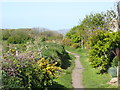 Path on edge of St David