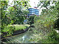 The New River west of the West Reservoir (2)