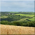 SS2415 : Farmland, Lopthorne, Cornwall by Oswald Bertram