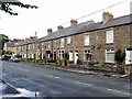 NY9939 : Terraced houses east of Stanhope Burn Bridge by Andrew Curtis