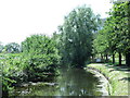 The New River south of Newnton Close, N4 (2)