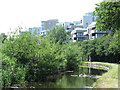 The New River south of Newnton Close, N4 (4)