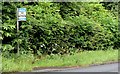 Bus stop, Rathgael Road, Bangor (July 2015)