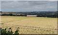 Fields near Conygree Farm