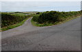 Marledge Farm access road north of Stackpole Cheriton