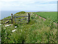 SS2221 : Coastal path and potato field near Elmscott, Devon by Roger  Kidd