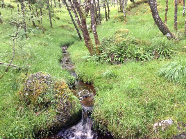 Small stream, Ariundle Wood