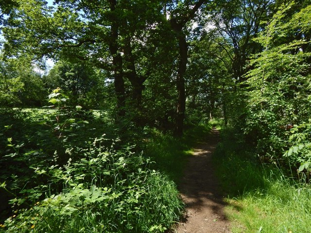 Path through Roman Park